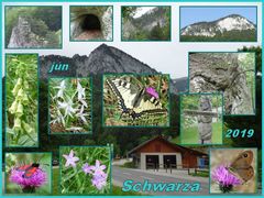 Schwarza 02